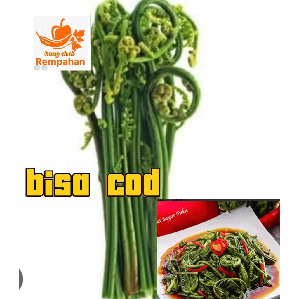 

pakis sayur segar 500grm