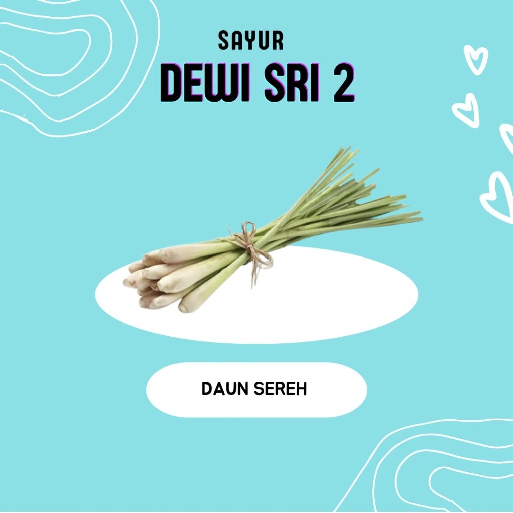 

Daun Sereh 1 Ikat - Dewi Sri 2