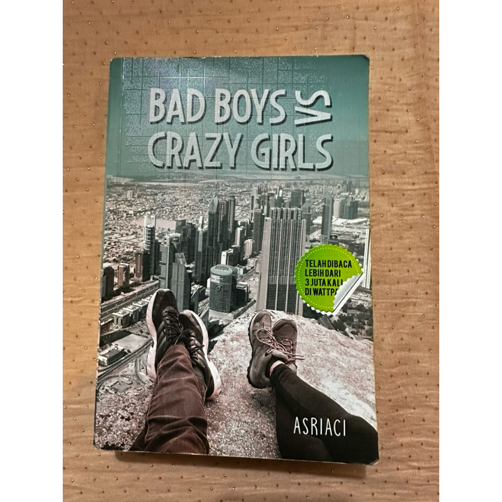 Novel Bad Boys vs Crazy Girls