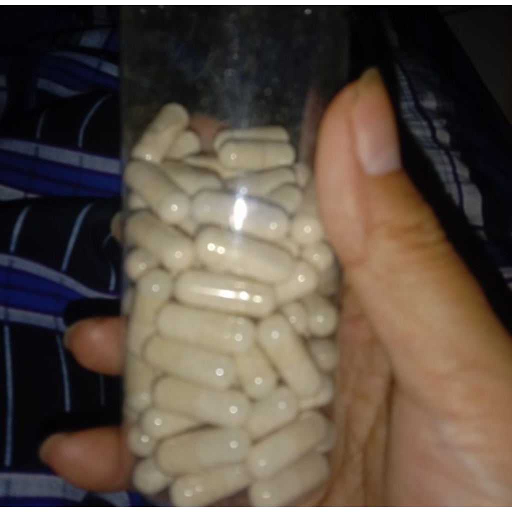 Kapsul bawang putih/garlic/allium sativum 100 kapsul