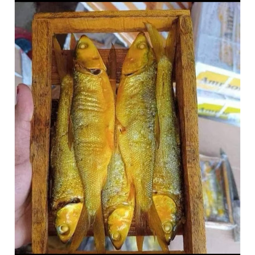 

Bandeng Presto Vacum 1 pcs / 1 ekor ukuran besar,Ikan Duri Lunak Empuk Tanpa Amis Bumbu Lauk Praktis
