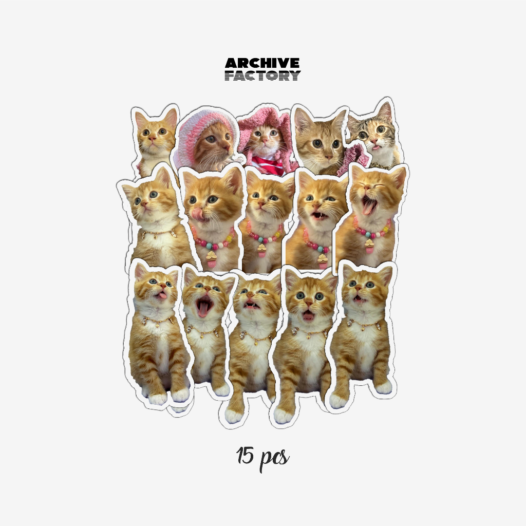 

STICKER PACK KUCING OYEN | STIKER KUCING KITTEN | STIKER AESTHETIC | STIKER LAPTOP | STIKER TUMBLER | STIKER HP