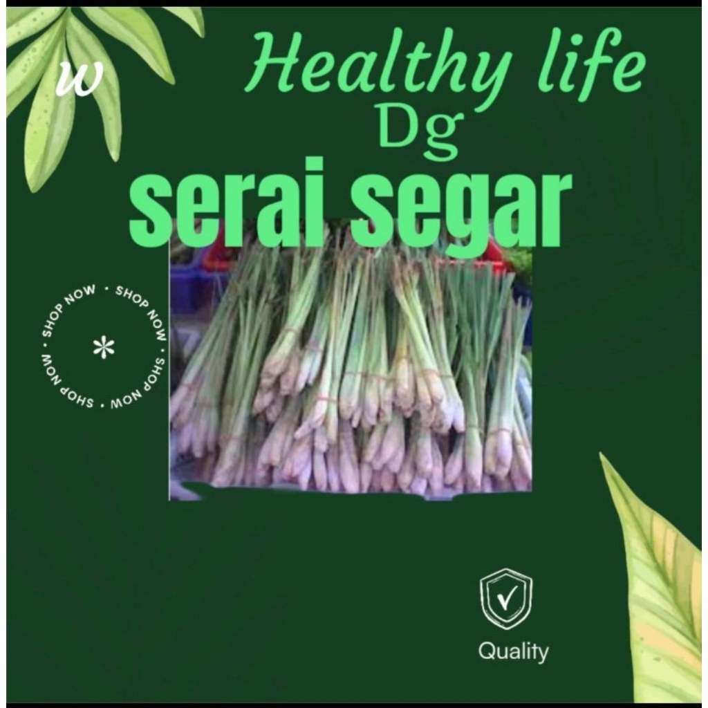 

Serai segar satu ikat(6 batang) yang siap menyehatkan dan melezatkan masakan