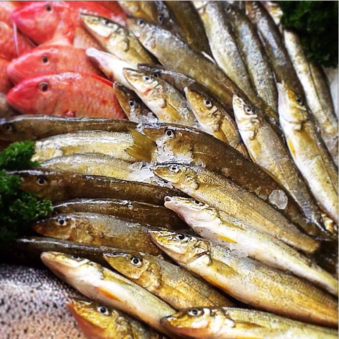 

Ikan Rejung Segar Ikan Rejung Ikan Kaca Piring 1Kg