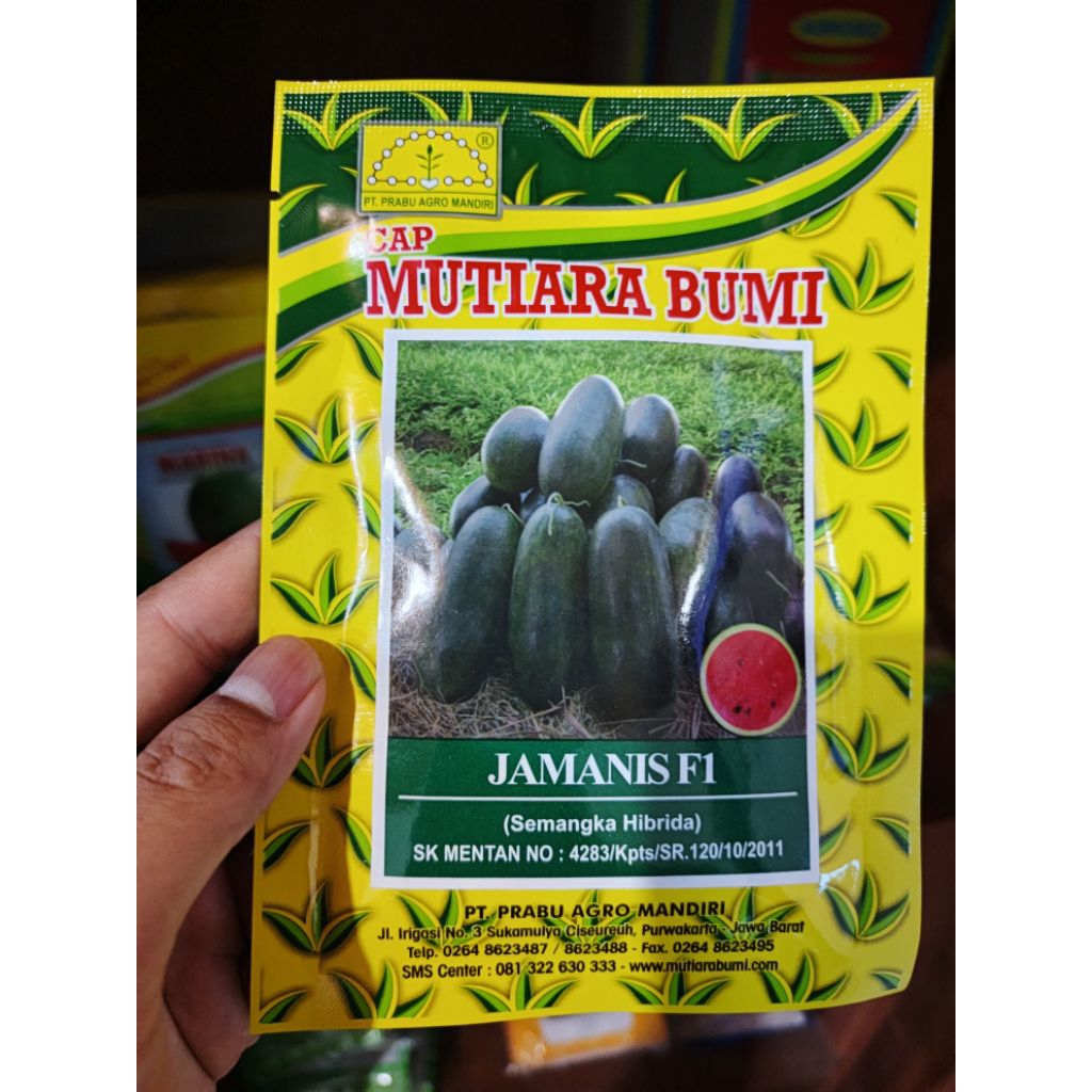 Bibit Semangka Inul Jamanis F1 Cap Mutiara Bumi