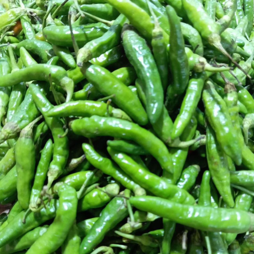 

cabai rawit Segar /cabai rawit /cabe rawit