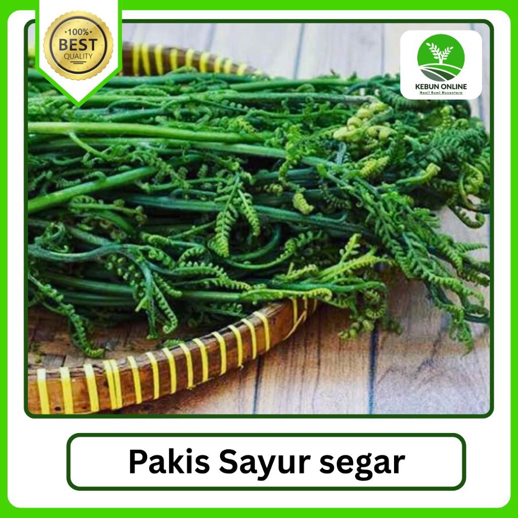 

Pakis Sayur Fresh [1000g] bisa COD