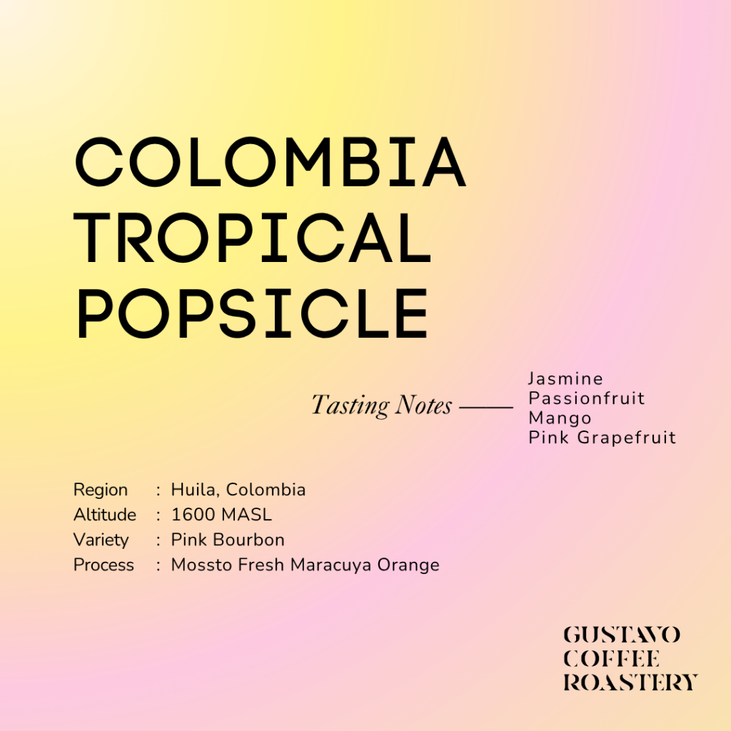 

Biji Kopi Arabika COLOMBIA TROPICAL POPSICLE Single Origin Gustavo