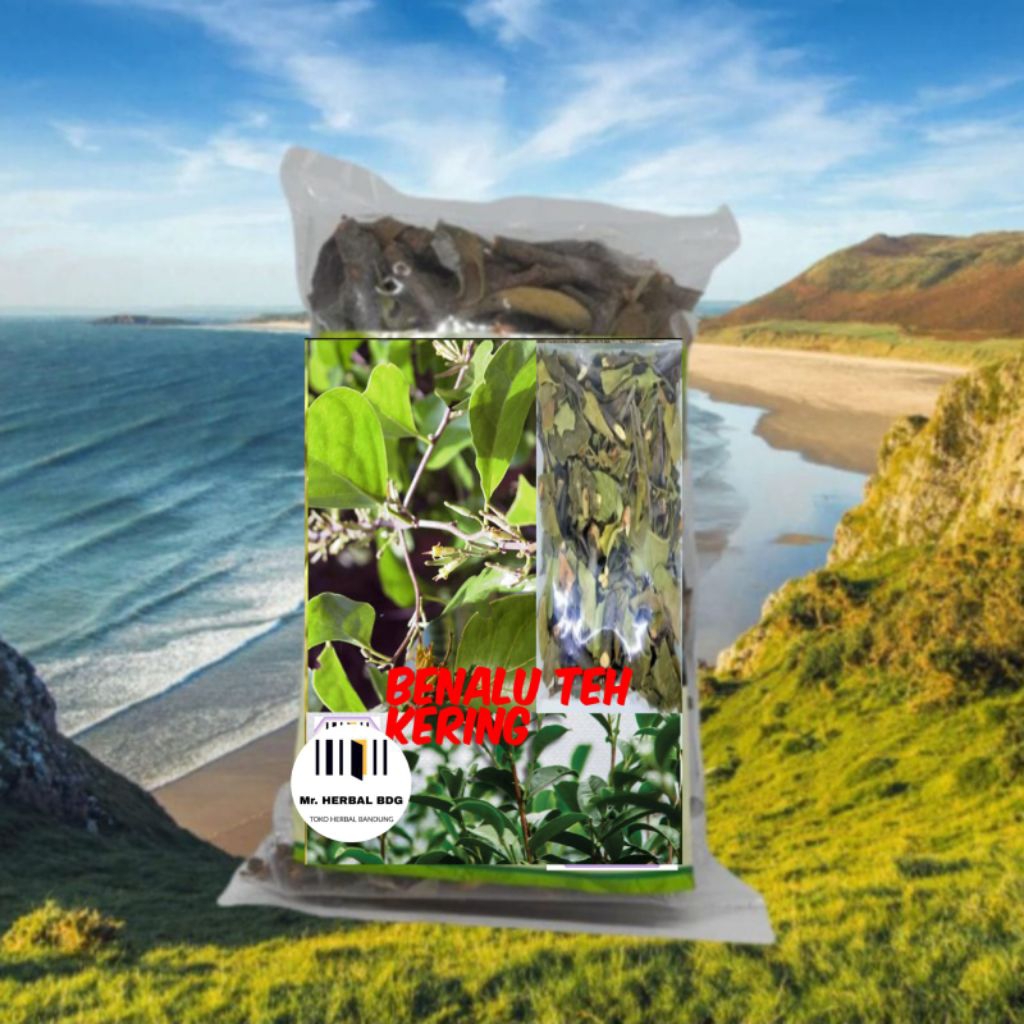 

Benalu teh asli original per bungkus