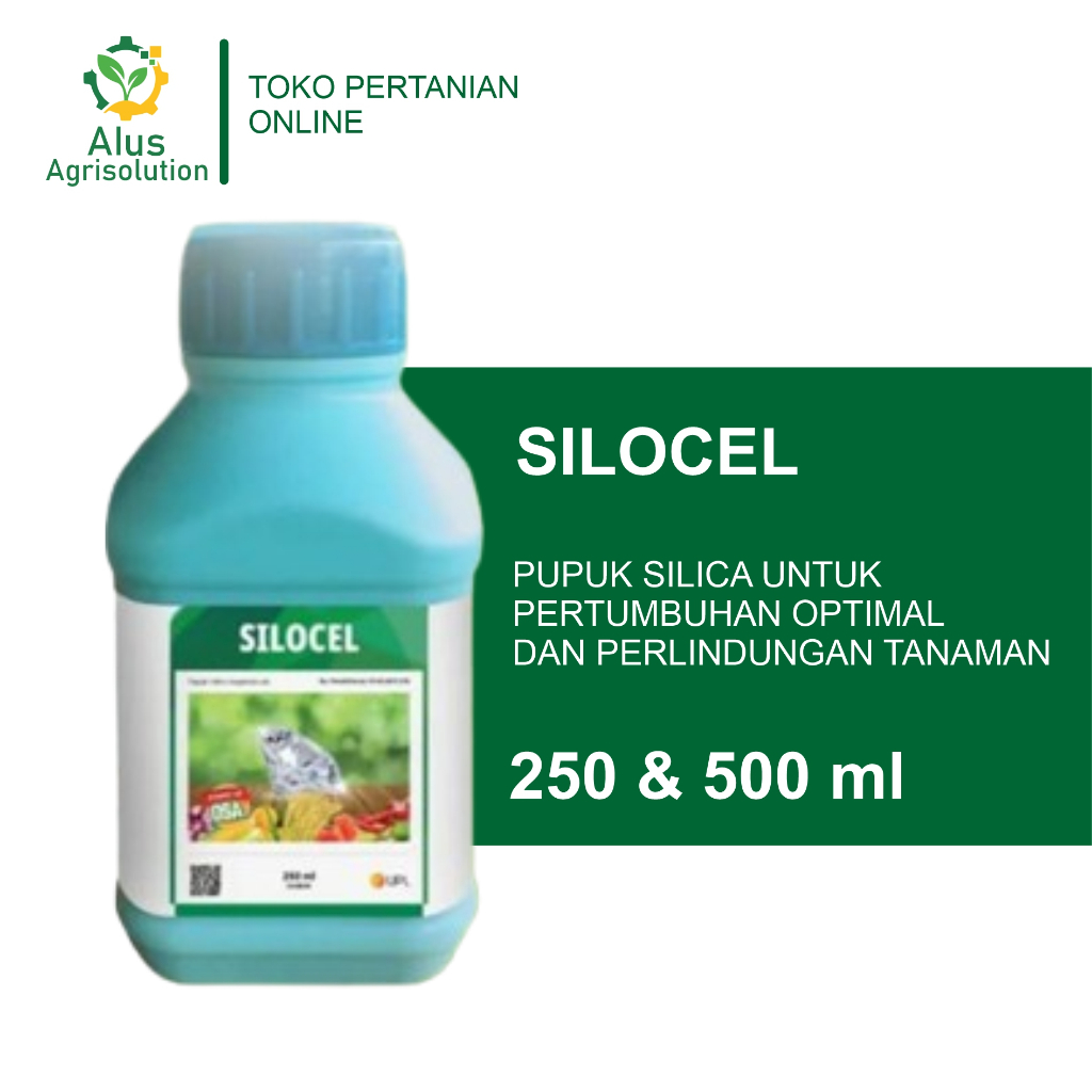 SILOCEL PUPUK SILIKA CAIR AGAR TANAMAN KOKOH