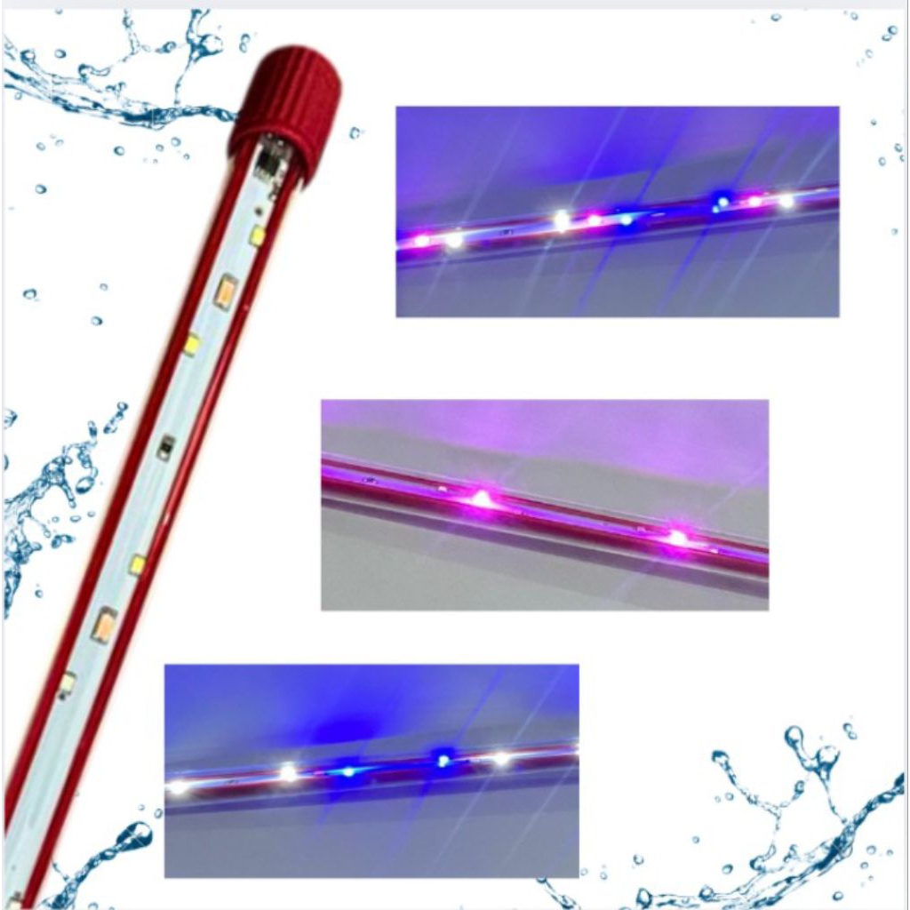 LAMPU Sakkai Pro Day Night T4 3LED K 60 LED Aquarium Tanning