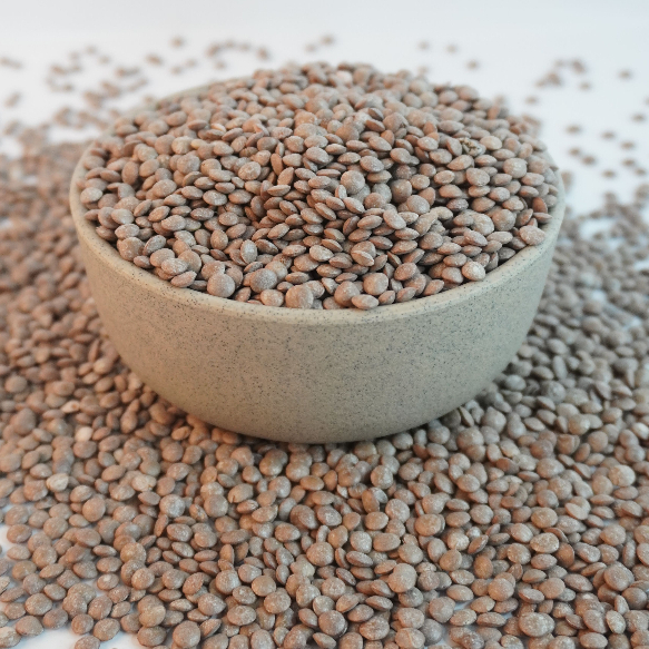 

Brown Lentil / Adas Coklat | Tinggi Protein Nabati | Cocok untuk Diet Sehat & Vegan