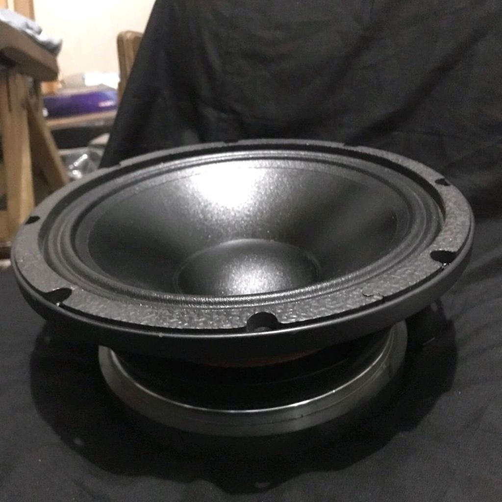 Speaker JIC 10 Inch JIC LS 10075