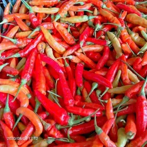 

Cabe Rawit Merah 150gr