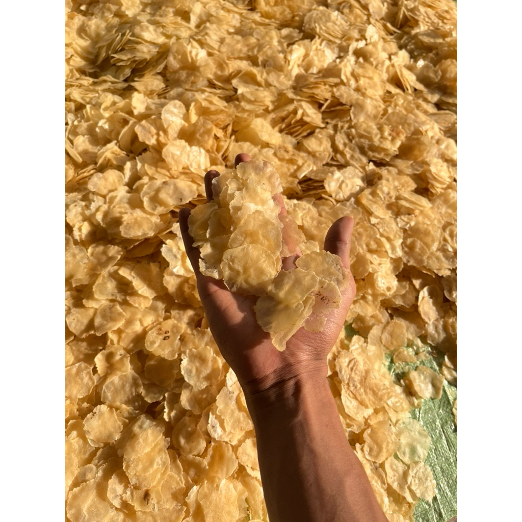 

1KG EMPING MELINJO FULL KERING SIAP GORENG