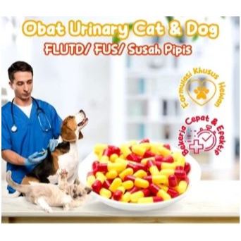 OBAT URINARY KUCING - Obat Kucing FLUTD FUS Kencing Darah Kencing Nanah Infeksi Saluran Kencing Susa