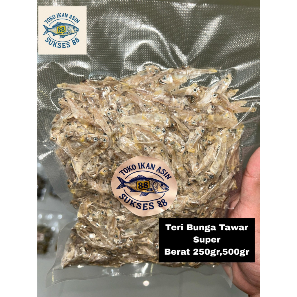 

Teri Bunga Tawar Super 250gr / 500gr | Teri Kering Putih Premium | Vakum Pack Higienis