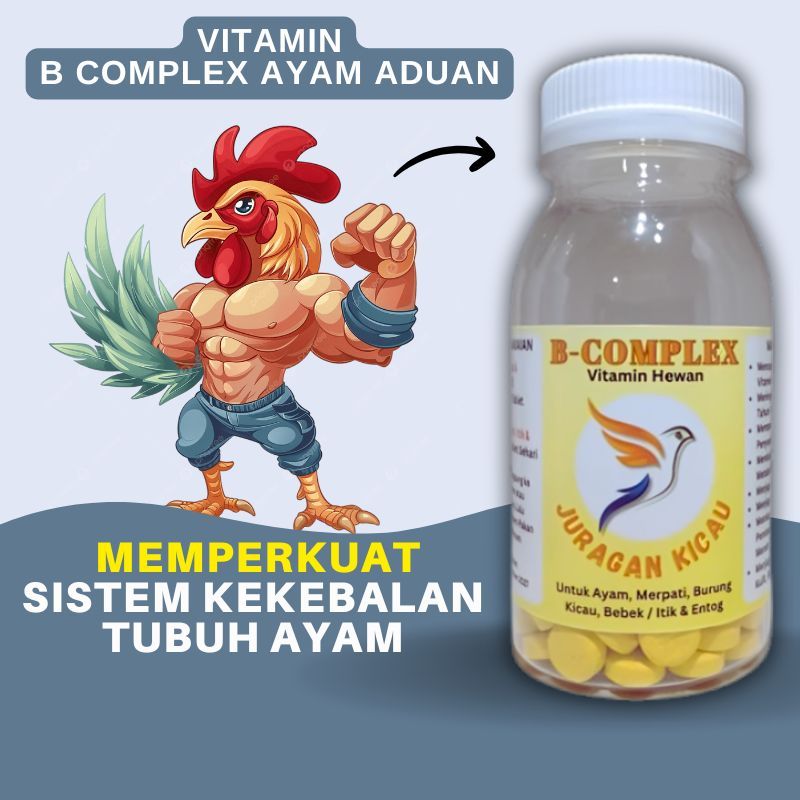 Vitamin B Complex Ayam Aduan Untuk Memperkuat Sistem Kekebalan Tubuh