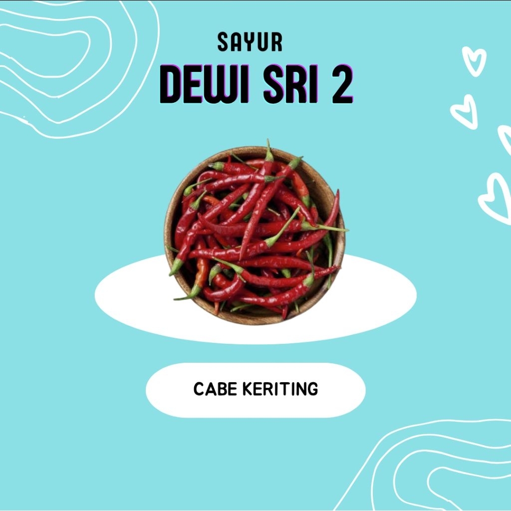 

Cabe Keriting 30gr - Dewi Sri 2