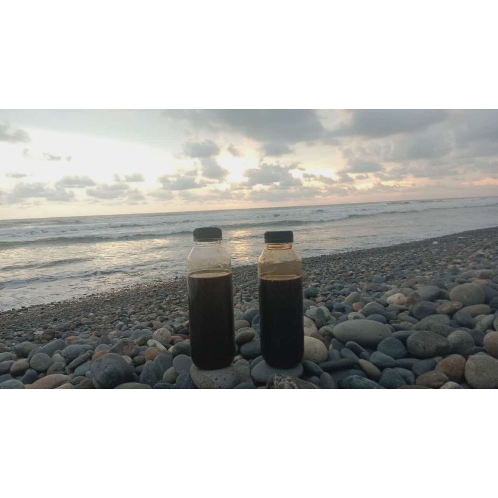 

Madu Asli langsung dari peternak- TANPA perentara.|madu asli murni100%|madu hutan alami langsung dari petani