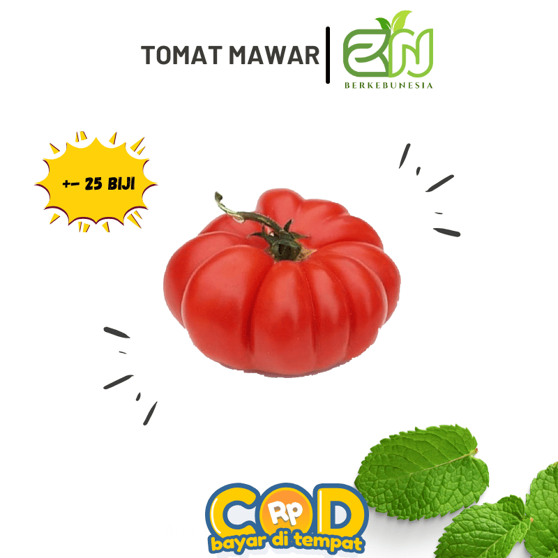 Benih Sayuran Buah Tomat Mawar Bibit Biji Tomat Mawar