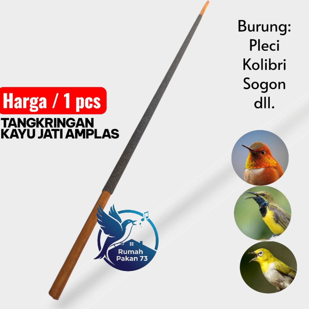 Tangkringan burung kecil kolibri ciblek pleci tangkringan kandang kecil kayu jati amplas cocok untuk