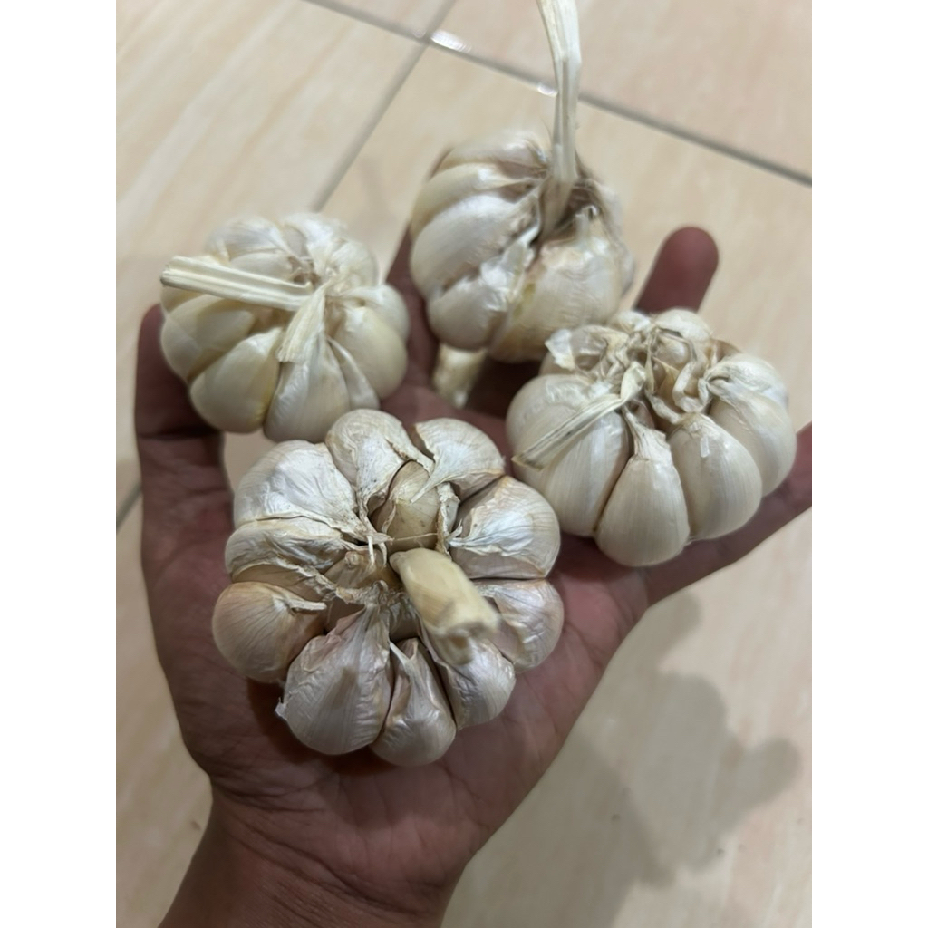

bawang putih biasa bersih