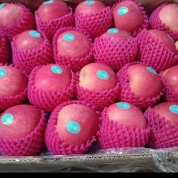 

Apel Fuji premium(900_1000 gam)