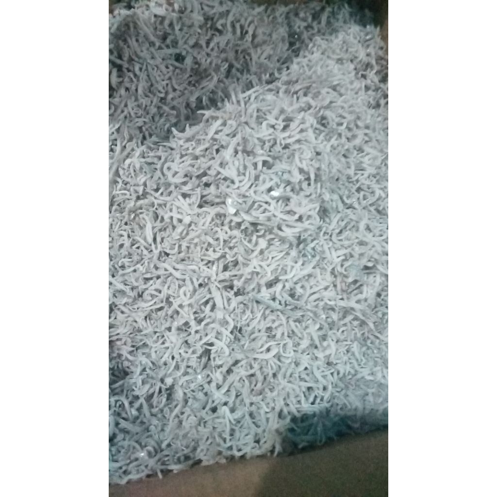 

ikan asin Teri medan