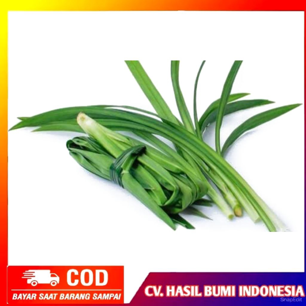 

Daun Pandan Wangi Segar Organik Per Helai