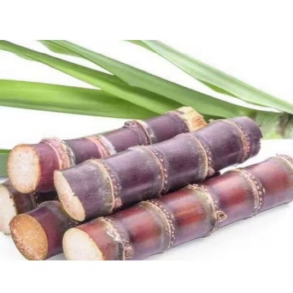 

PROMO TEBU MERAH MANIS 1KG