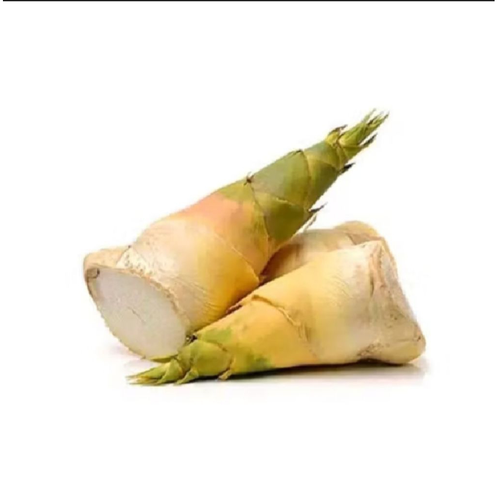 

rebung bambu sayur bambu Ampel/1kg