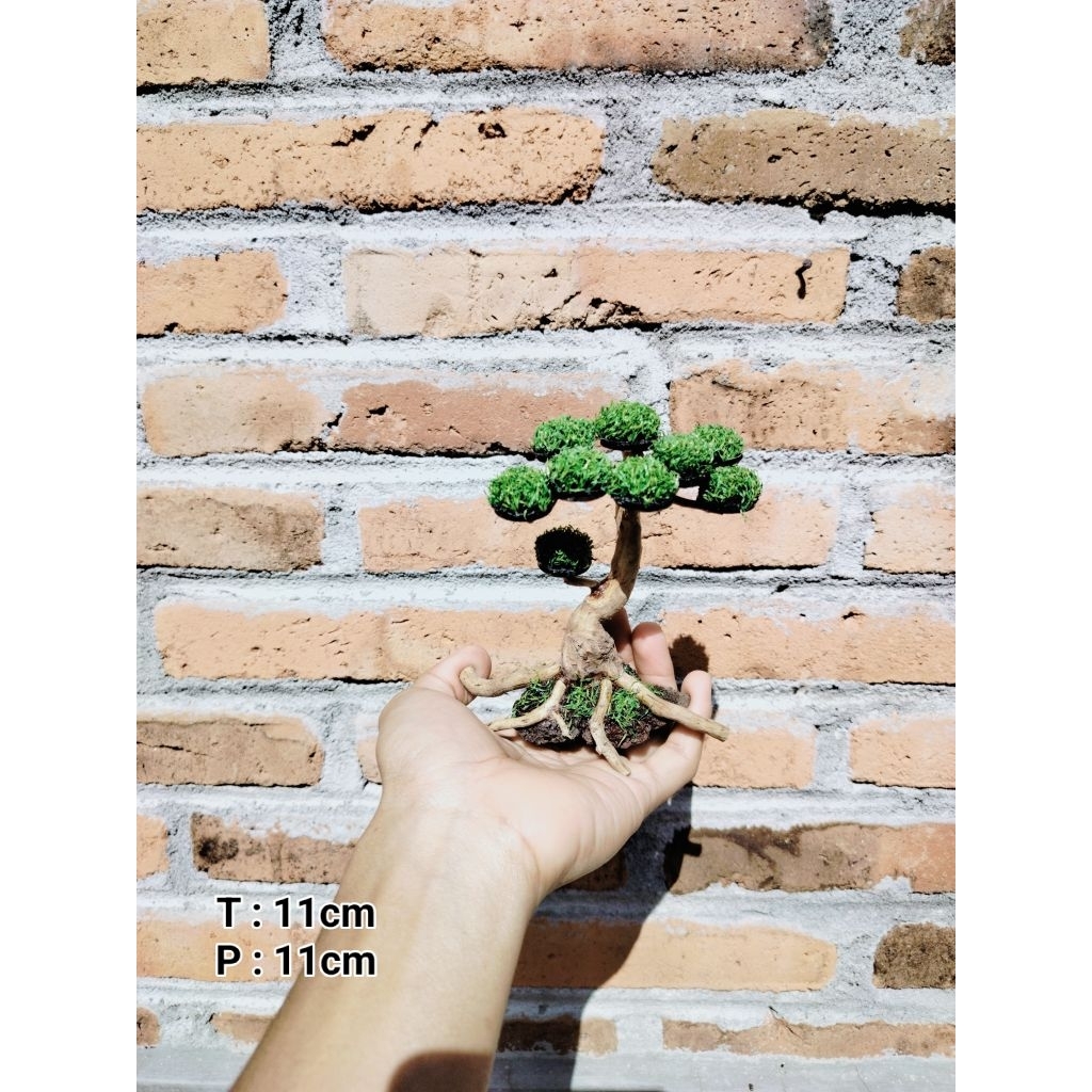 Bonsai Aquascape Sintetis