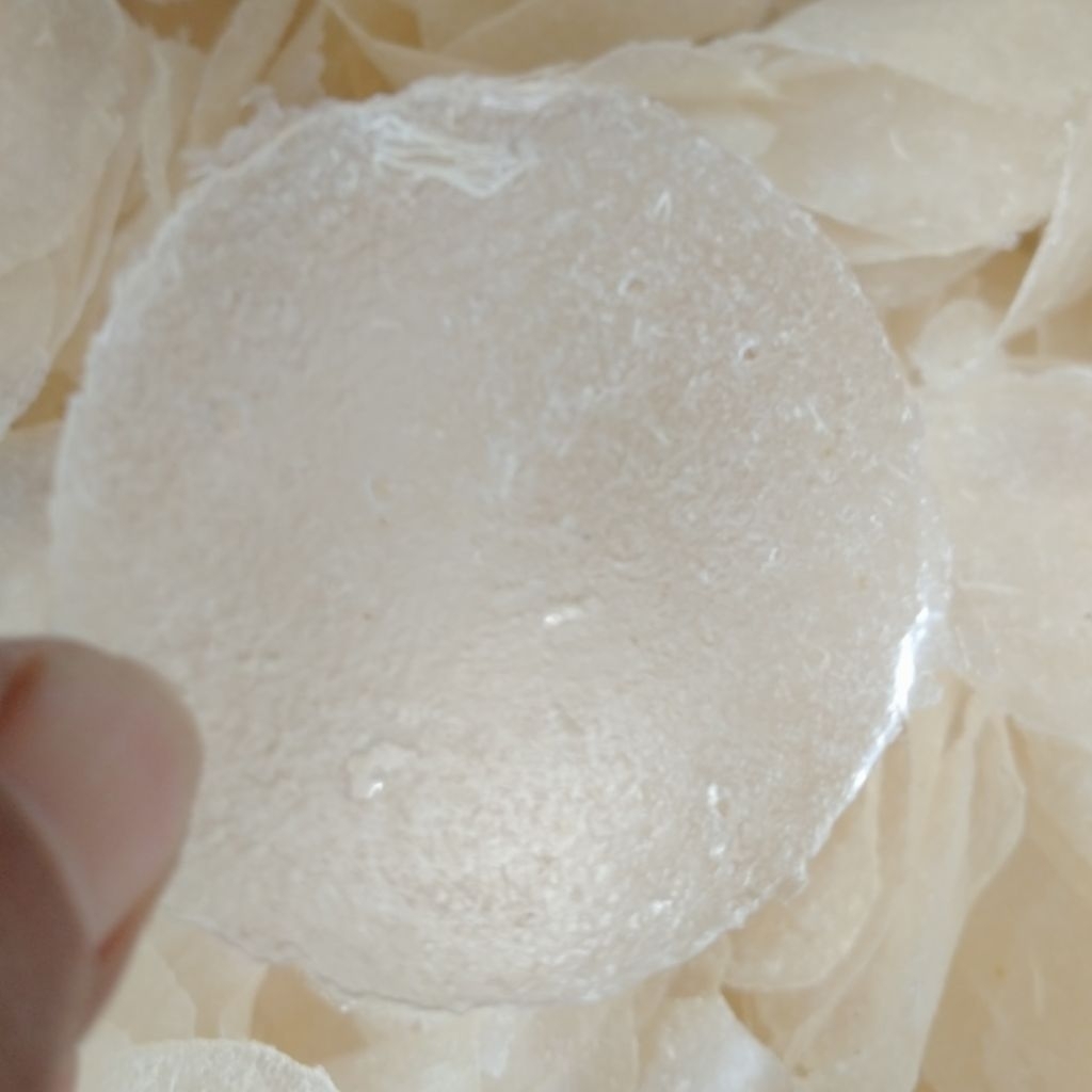 Keripik kaca/pikca coin mentah bulat tipis