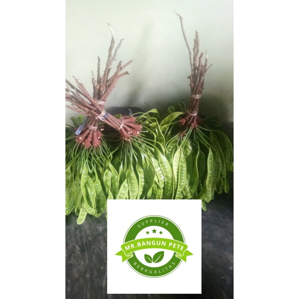 

Pete kulit segar /papan