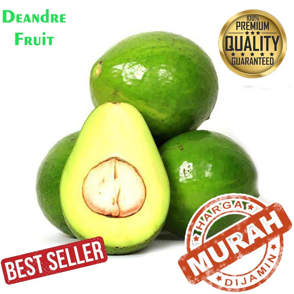 

MURAH BANGET 5kg Buah Alpukat Mentega Premium Avocado Avocadron