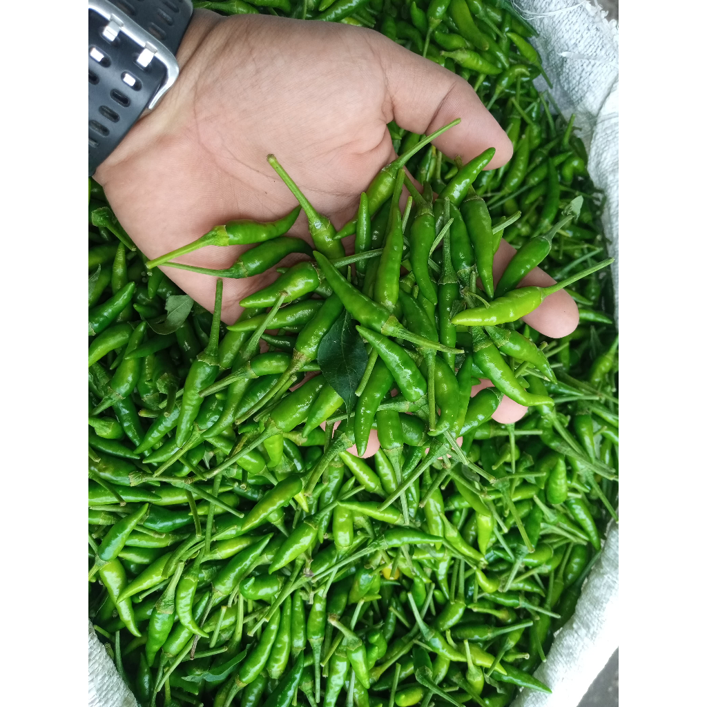 

[Rawit Segar] Cabai Rawit Hijau – Sayuran Segar 250g | Pedas, Segar, Siap Masak