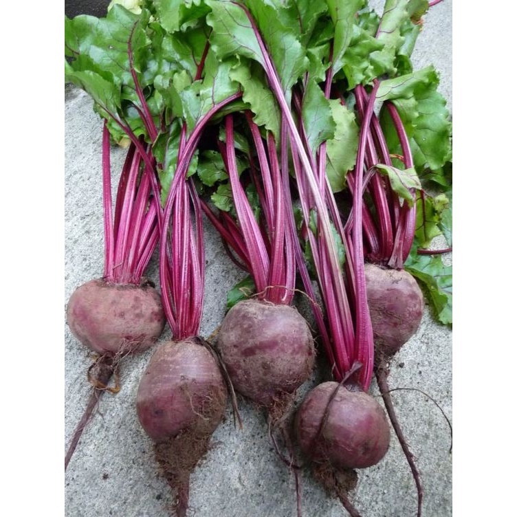 

Buah beat 250gram