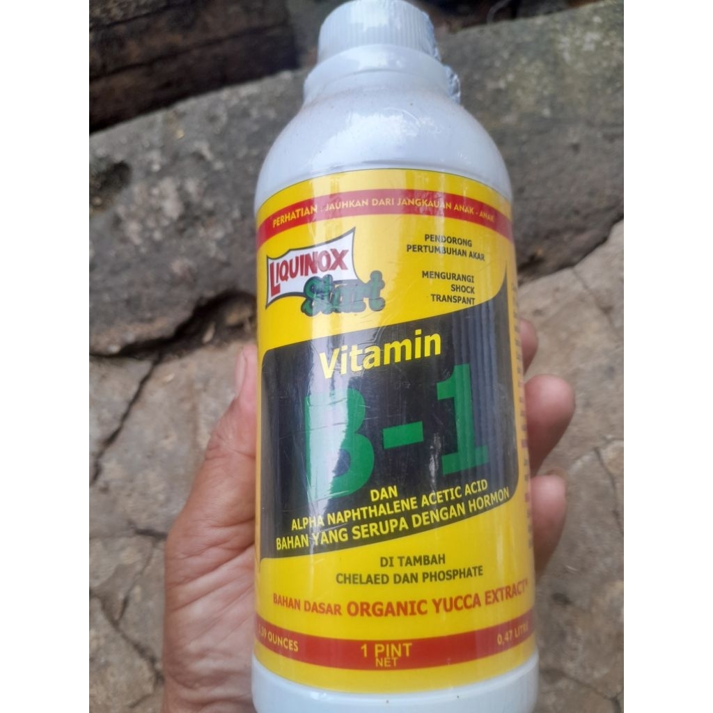 pupuk/ Vitamin  B1 cair ukuran gede