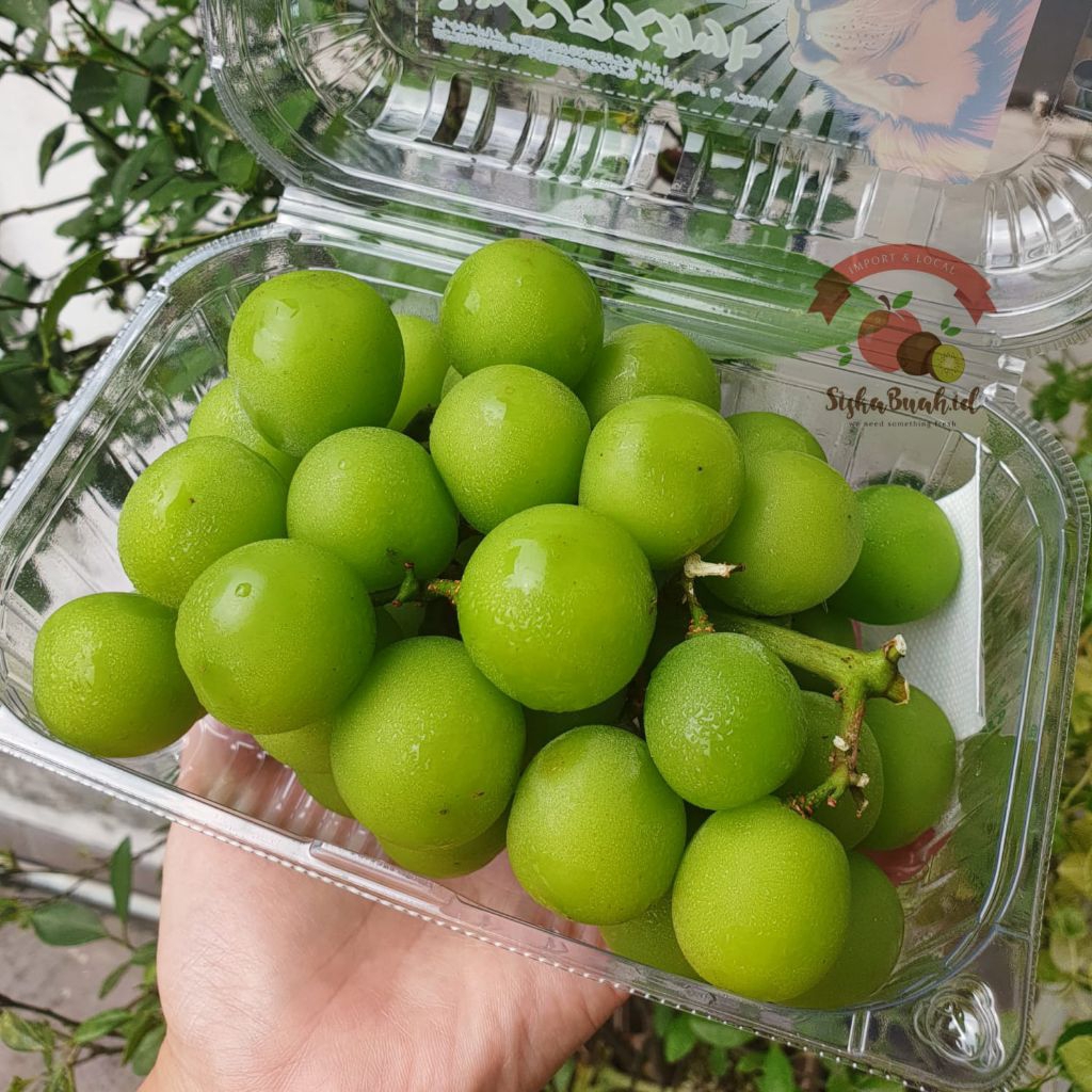 

ANGGUR SHINE MUSCAT | ANGGUR HIJAU | ANGGUR JELLY MANIS