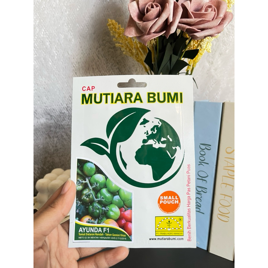Benih Tomat Dataran Rendah