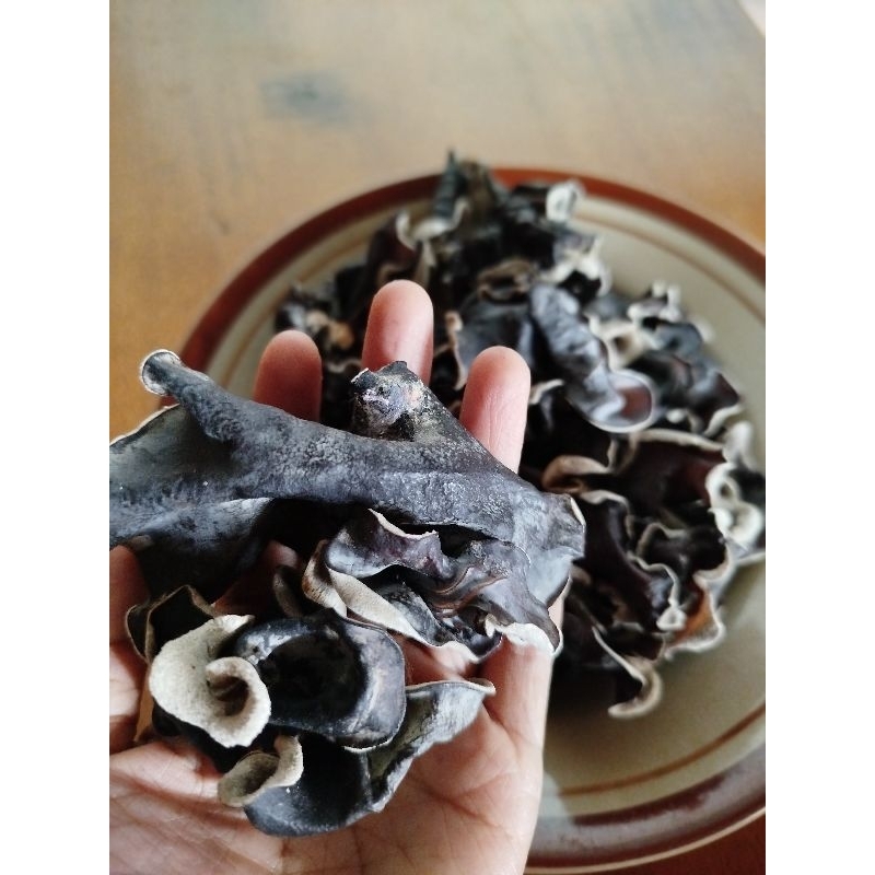 

jamur kuping kualitas super grade A no 1 1000gr/ 1 kg