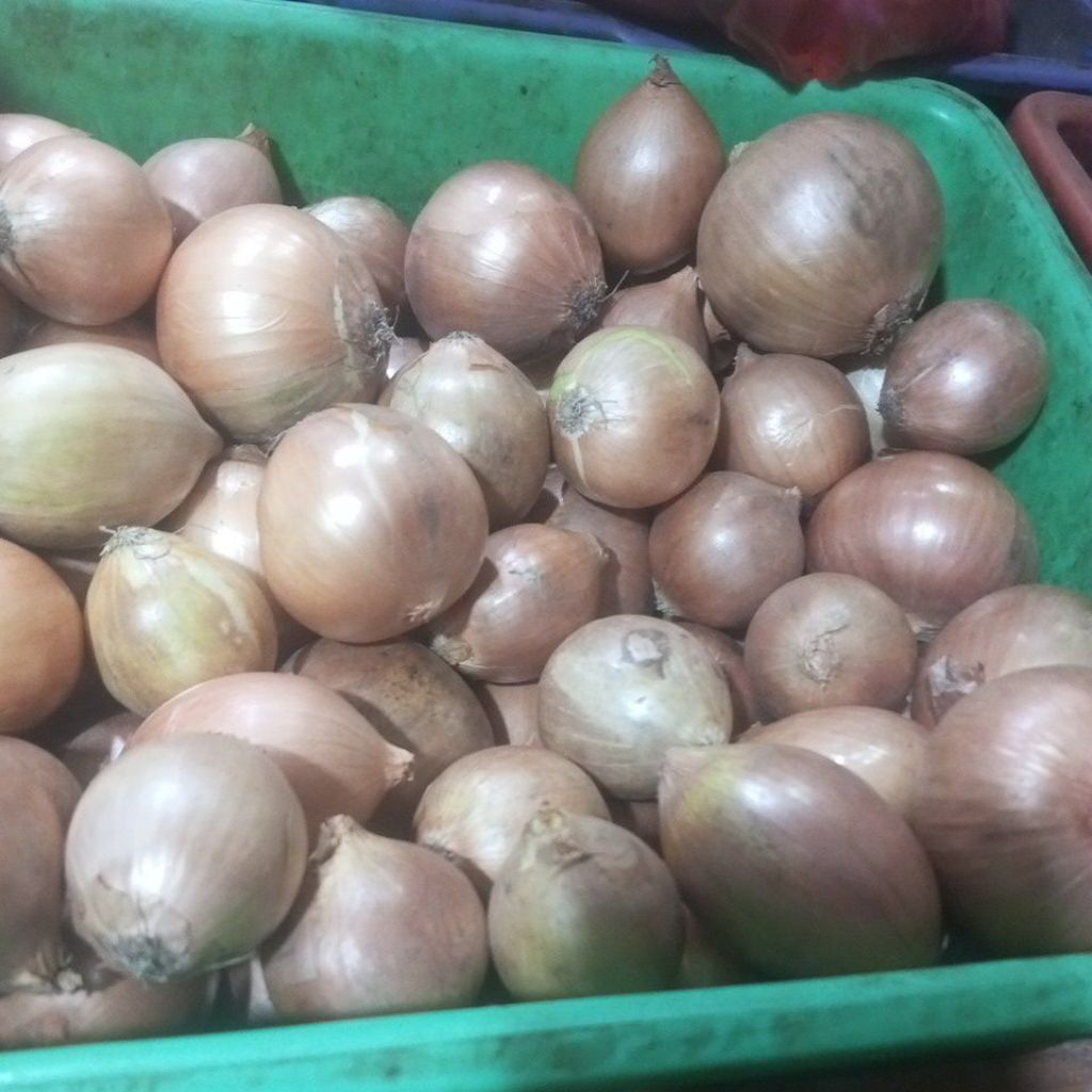 

bawang Bombay 1kg