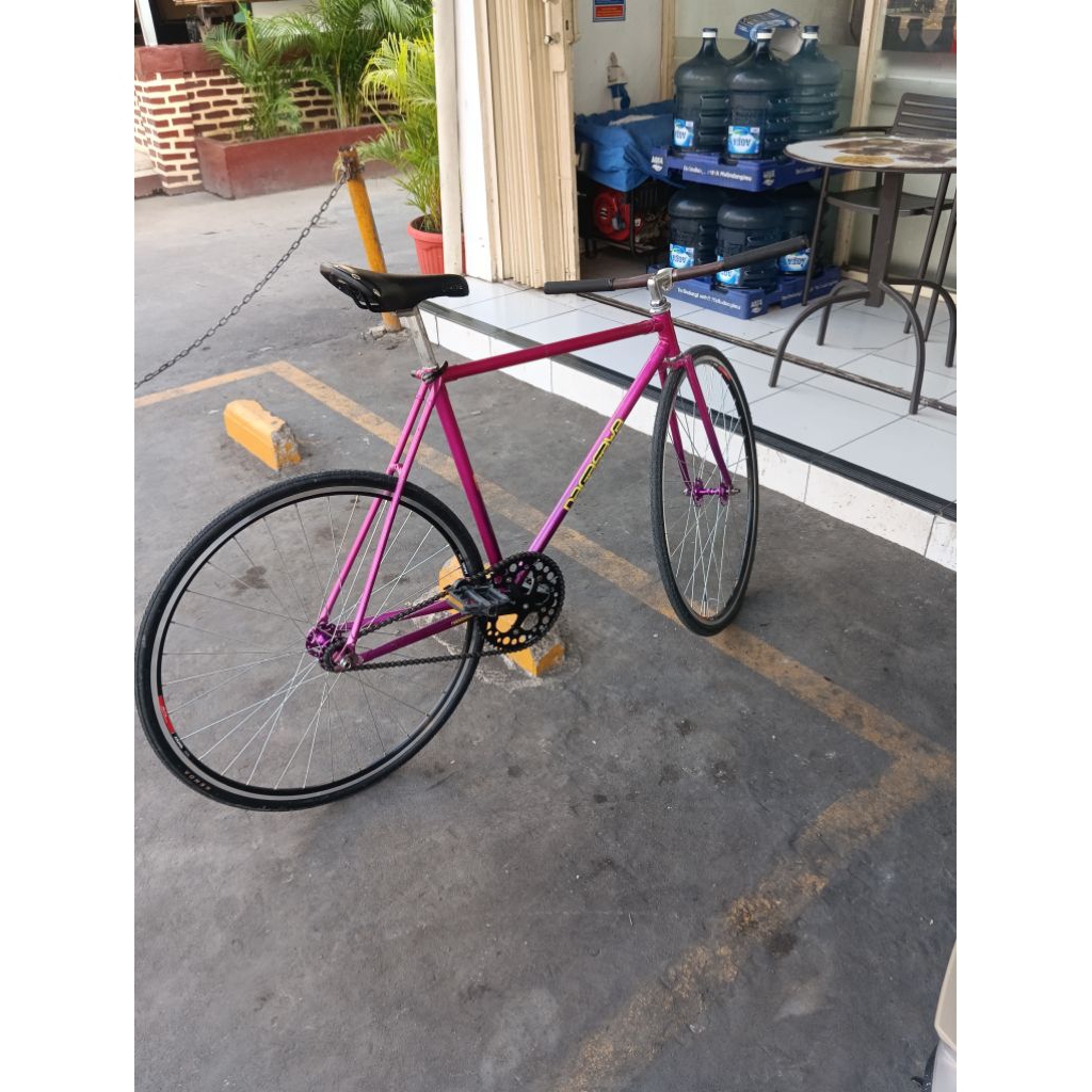 frameset Fixie classic
