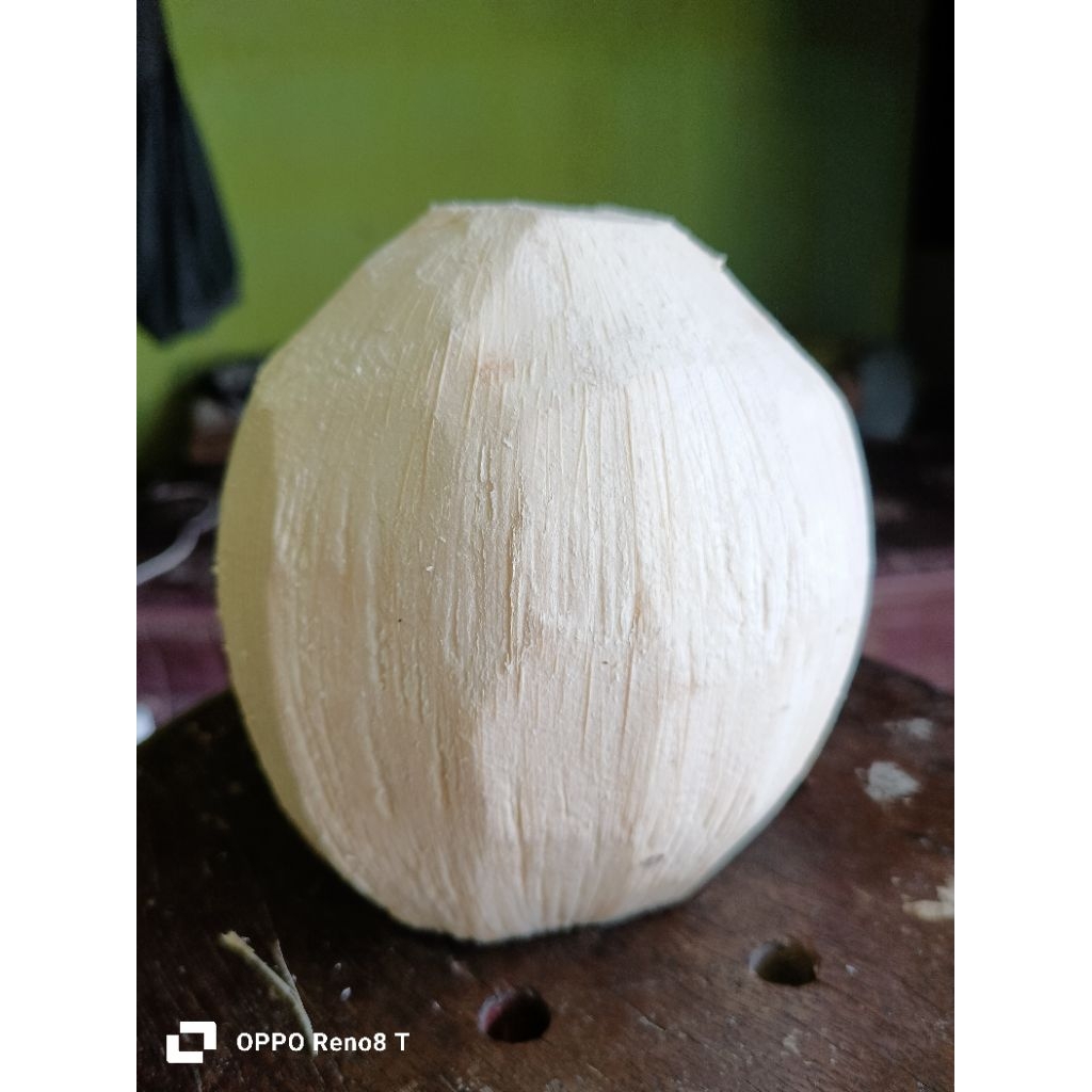

kelapa muda kupas bersih segar dan manis air nya