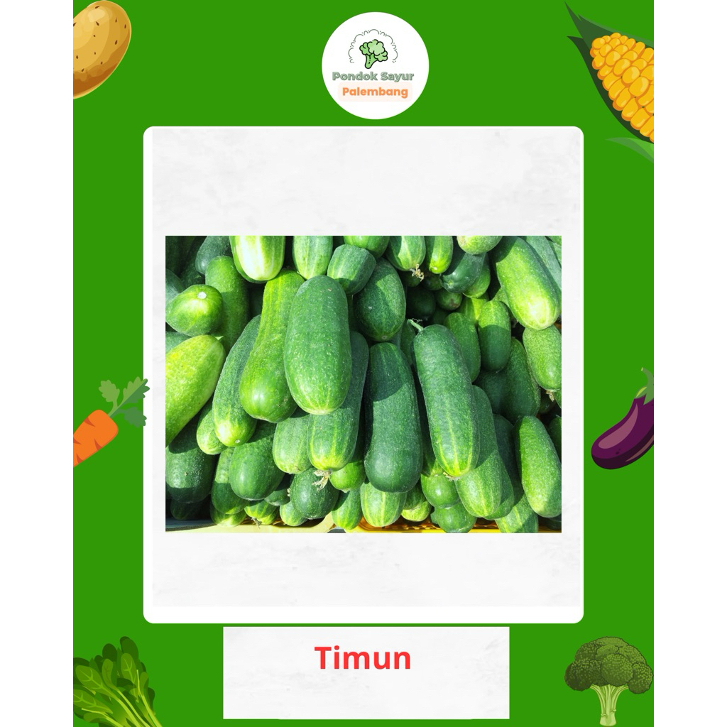 

TIMUN FRESH PONDOK SAYUR FRESH PALEMBANG
