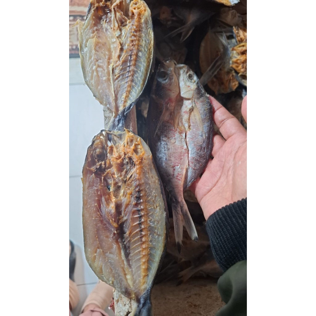 

Ikan kering biji nangka 250gram