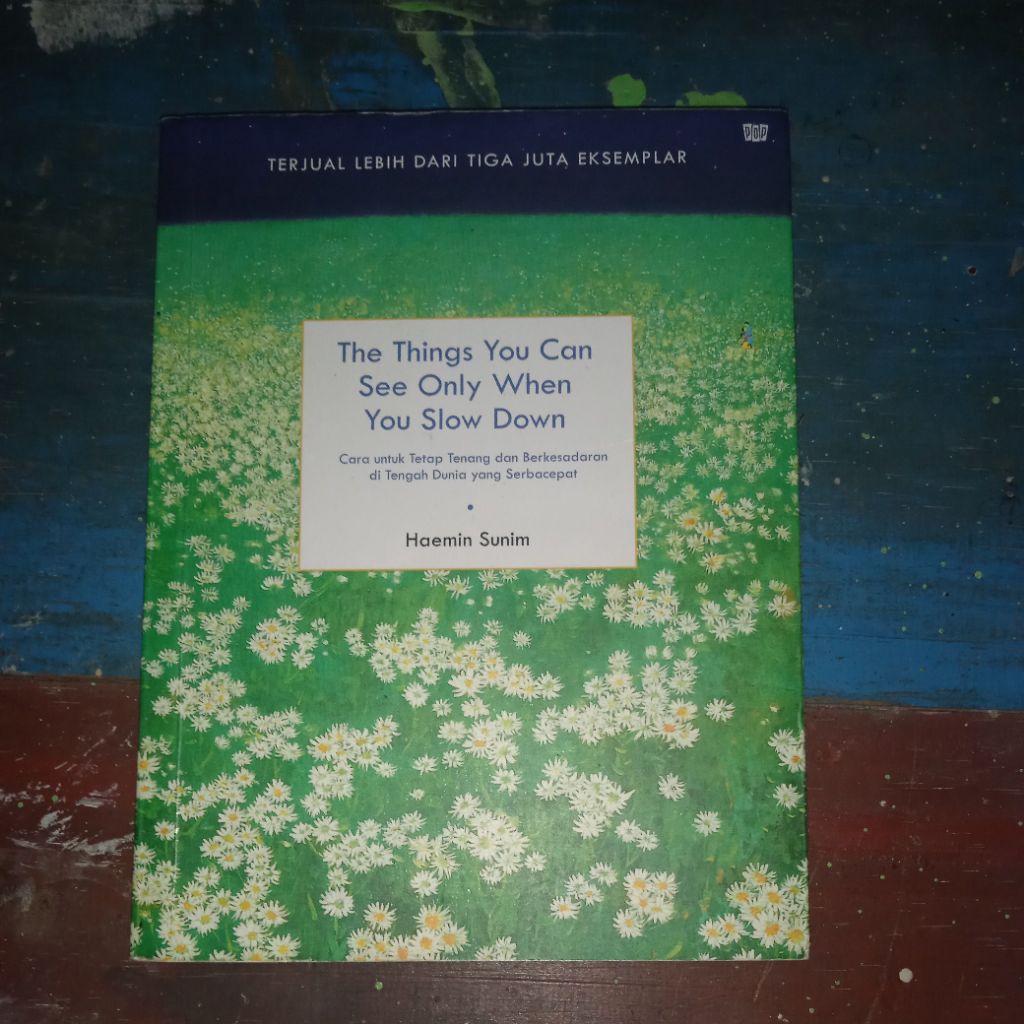 [BUKU BEKAS ORI] the Things You Can See Only When You Slow Down