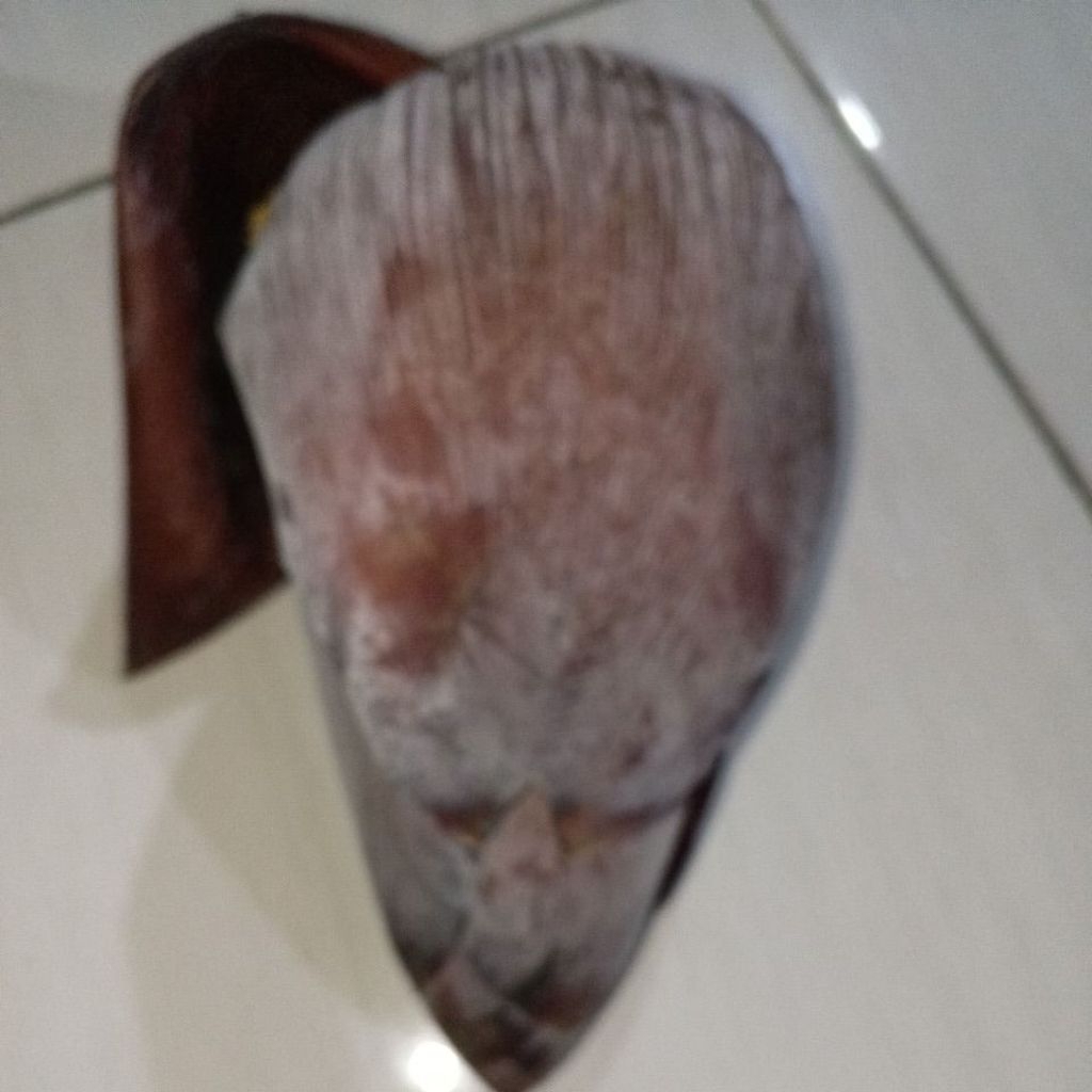 

jantung pisang kepok Ter baik satu biji
