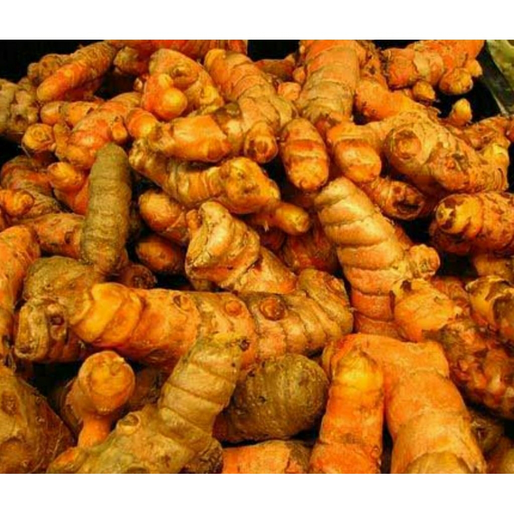 

KUNYIT / KUNIR KUNING 1kg